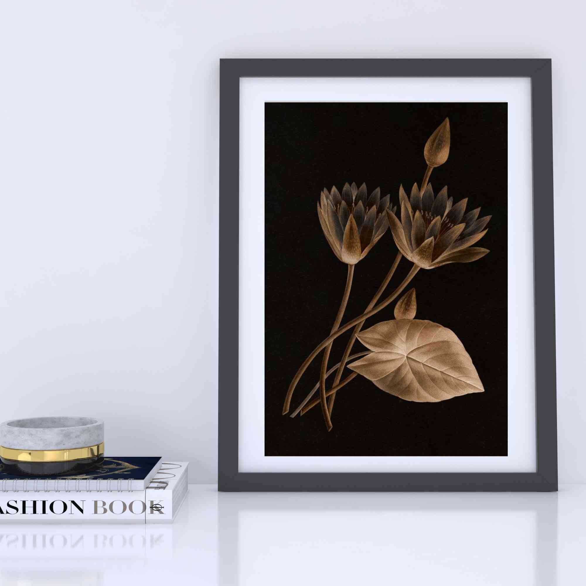 Egyptian Lotus Flower Poster