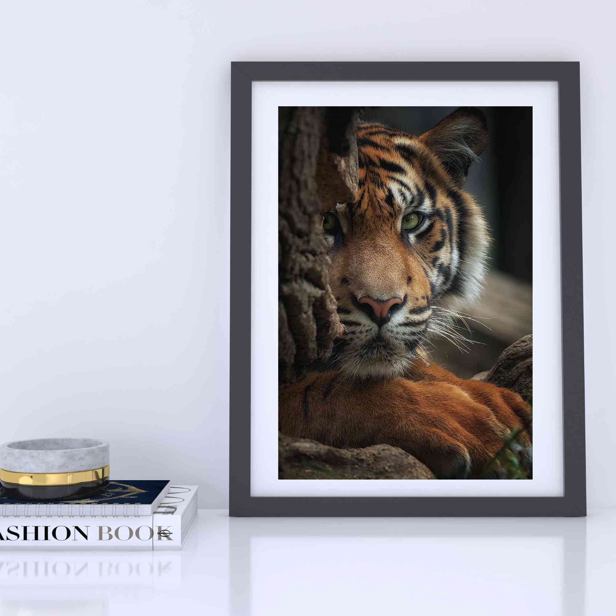 Tiger poster (3)