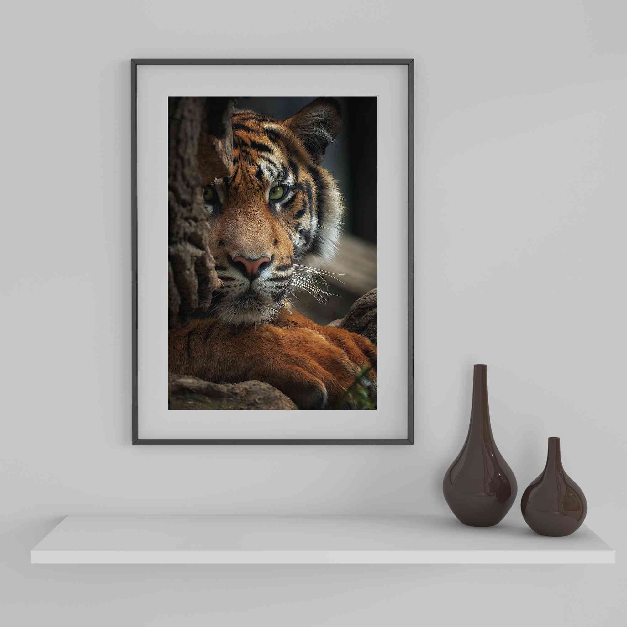 Tiger poster (4)