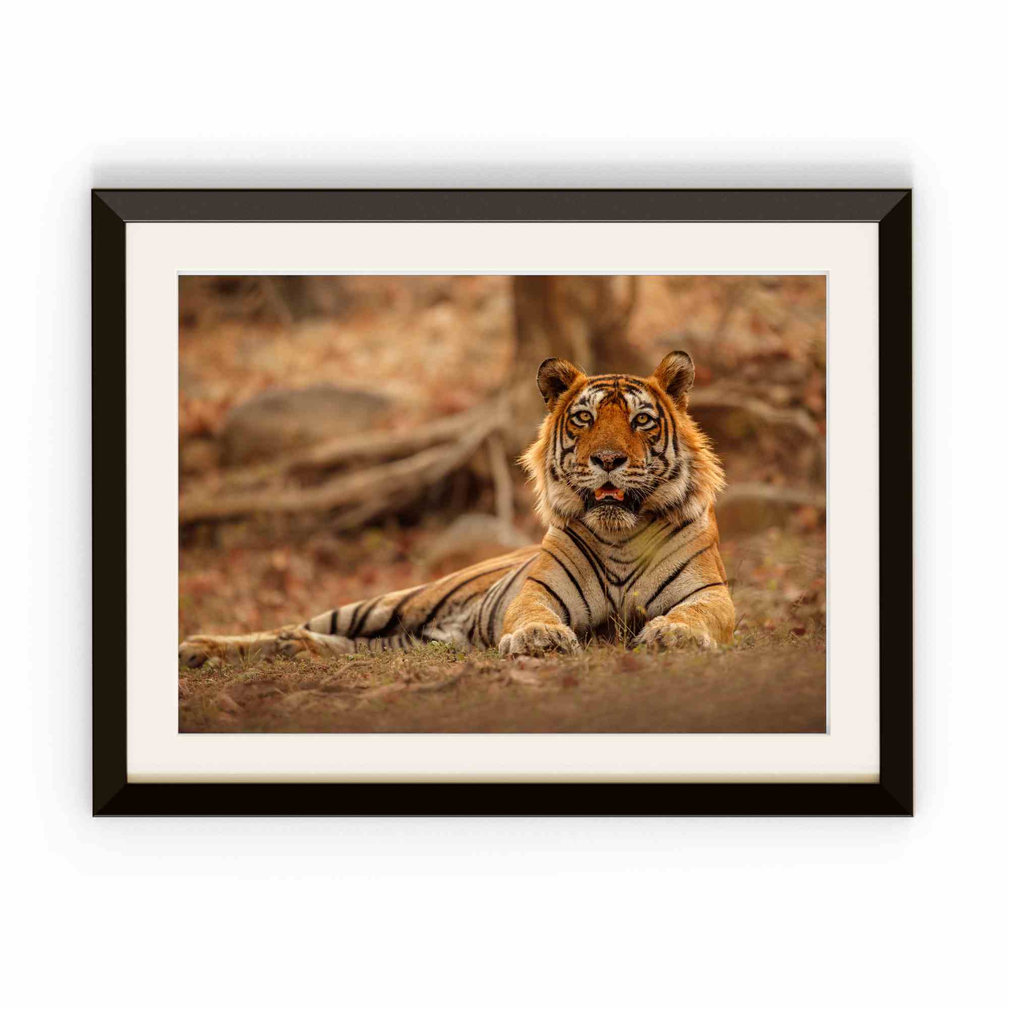 Bengal tiger photo frame